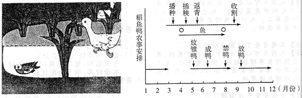 2015年成考高起點歷史地理真題