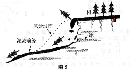 2017年成人高考高起點歷史地理真題試題